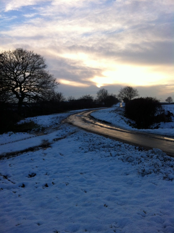 snow-wysall-lane-my-garden-dec-27-2014-034