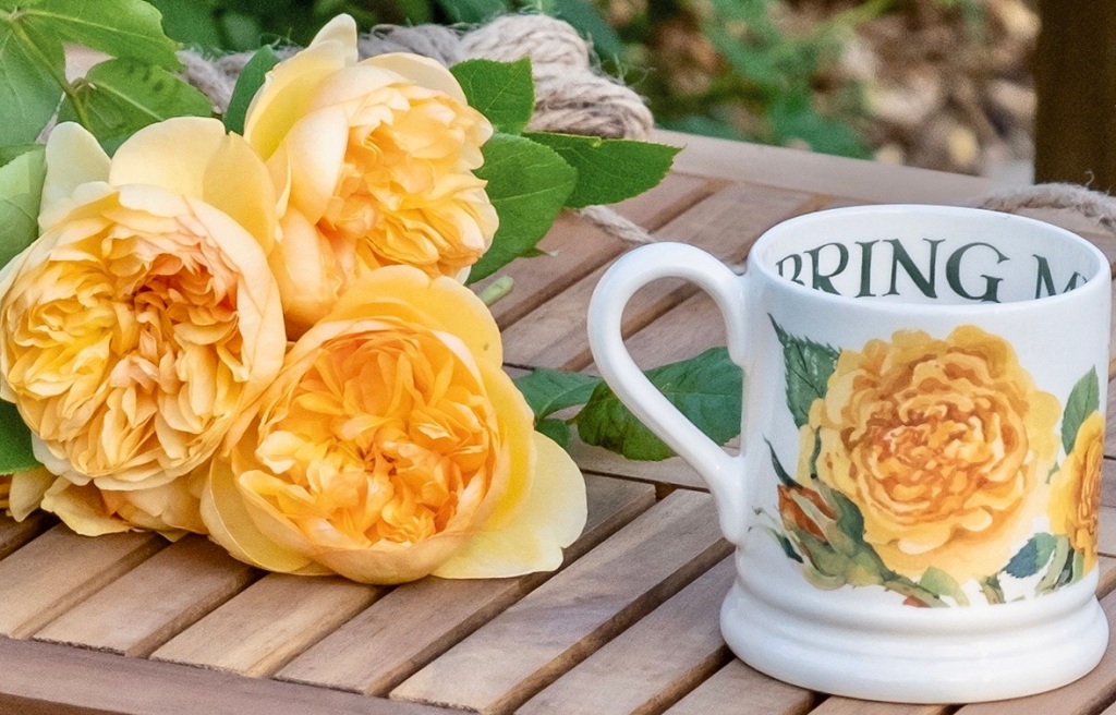 Rose Moon Dust 80cm  Wholesale Dutch Flowers & Florist Supplies UK
